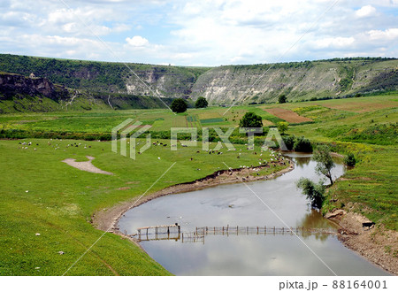 The Raut River in Orhei National Park, Moldova. A field with goats by the river in countryside near Old Orhei. This was the first national park in Moldova. 88164001