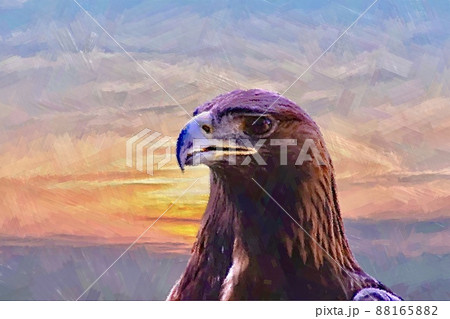 鷹・鷲のイラスト風の画像 鷹・鷲のイラスト風の画像 88165882