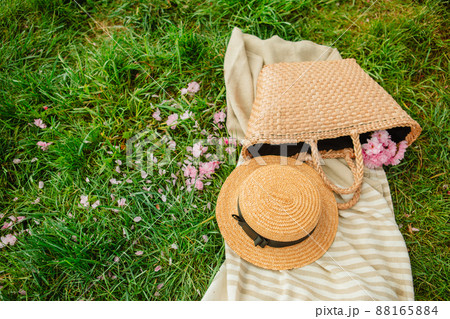 picnic blanket with straw hat and bag on green grass covered with pink sakura flowers picnic blanket with straw hat and bag on green grass covered with pink sakura flowers 88165884