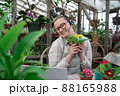 Young woman sells flowers and seedlings via video link on laptop via the Internet. Gardening, sales 88165988