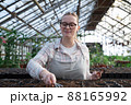 Young woman stands near table with seedlings in large greenhouse and holds rake and shovel in her hands. Gardening, seedlings, sales 88165992