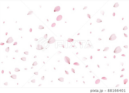 Sakura petals. Cherry petals backdrop 88166401