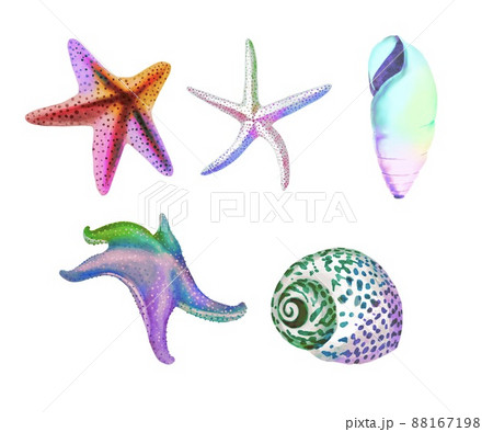 Watercolor set of marine rainbow color. bright colorful set: shells, starfish and sea urchin Watercolor set of marine rainbow color. bright colorful set: shells, starfish and sea urchin 88167198