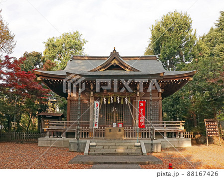 青渭神社(調布) 青渭神社(調布) 88167426