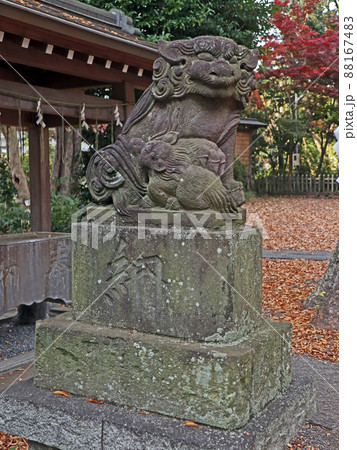青渭神社（調布） 88167483