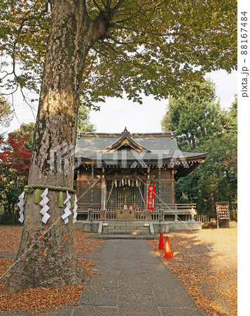 青渭神社(調布) 青渭神社(調布) 88167484