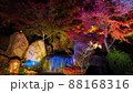 渓石園の紅葉ライトアップ 88168316