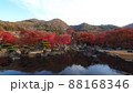渓石園の紅葉 88168346