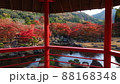 渓石園の紅葉 88168348