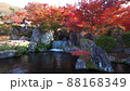 渓石園の紅葉 88168349