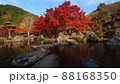 渓石園の紅葉 88168350