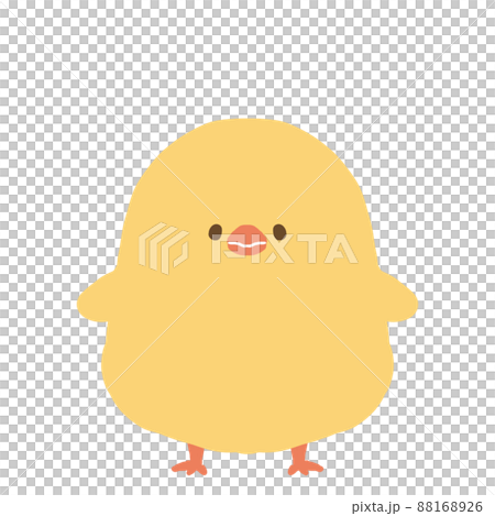 The front of the chick - Stock Illustration [88168926] - PIXTA