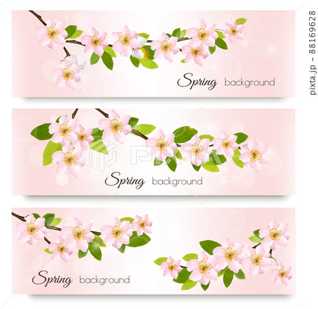 Three spring nature banners with blossoming sakura brunch with pink flowers. Vector illustration. 88169628