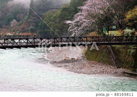 川湯温泉 88169811