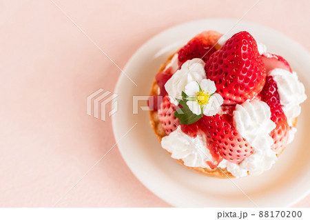 苺タルト　イチゴのスイーツイメージ素材 88170200
