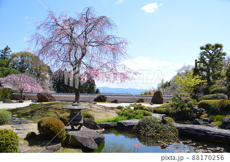 京都・正法寺 88170256