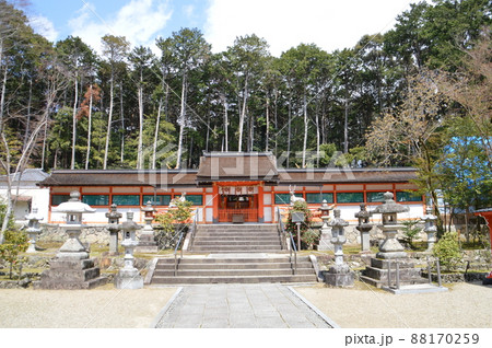 京都・大原野神社 88170259