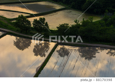 田染荘（大分県豊後高田市）の水田と夕焼け 88170398