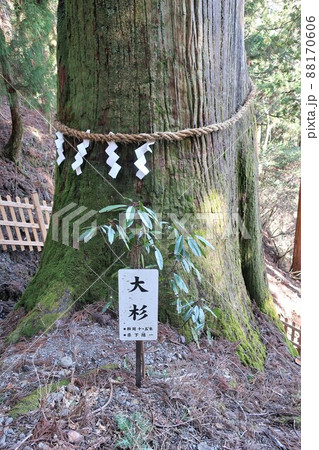 玉置神社 玉置神社 88170606
