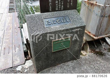 谷瀬の吊り橋 谷瀬の吊り橋 88170626