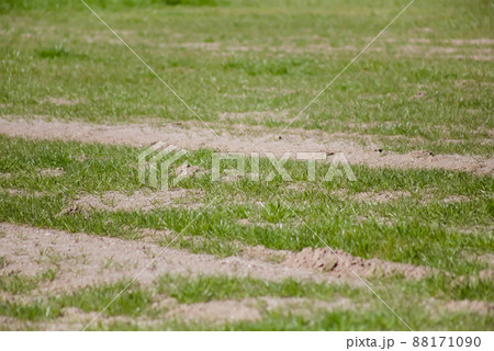 耕作する前の畑地 88171090