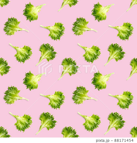 seamless pattern from lettuce green leaves salad. frillice salad isolated on pink. iceberg salad leaf flat lay seamless pattern from lettuce green leaves salad. frillice salad isolated on pink. iceberg salad leaf flat lay 88171454