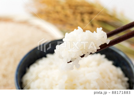 ご飯 88171883