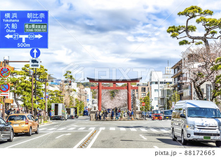 神奈川県の風景　春の鎌倉 88172665