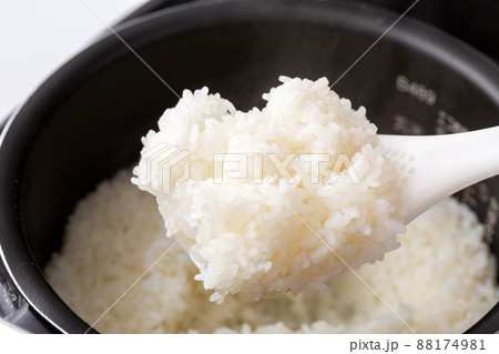 炊飯器のご飯 炊飯器のご飯 88174981