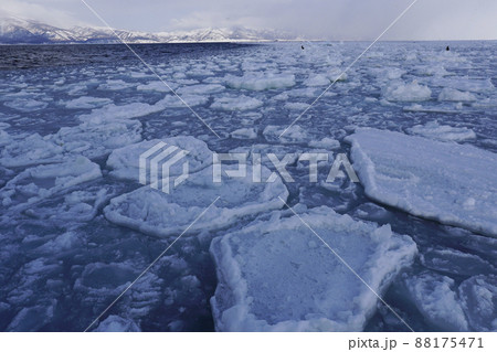 知床半島沿岸の流氷 88175471