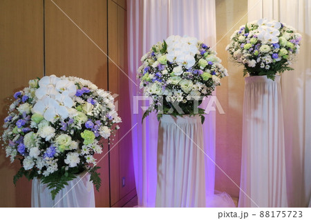 胡蝶蘭が入った供花 88175723