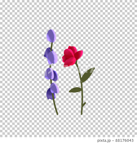 Lavender and roses Lavender and roses 88176043