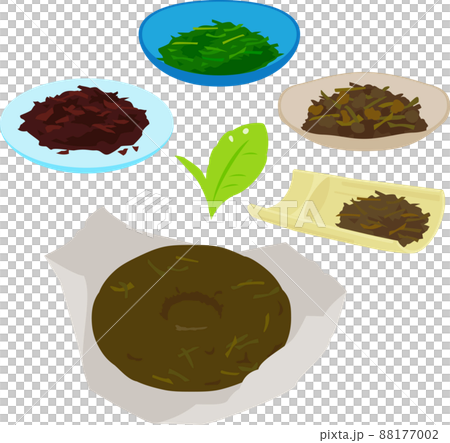 用茶樹製成的茶葉插圖集 88177002
