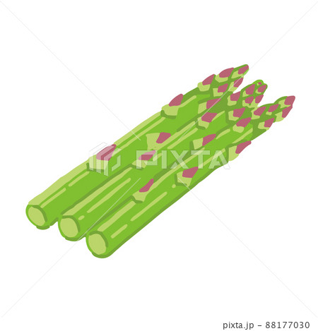 アスパラガスの手描きイラスト 88177030