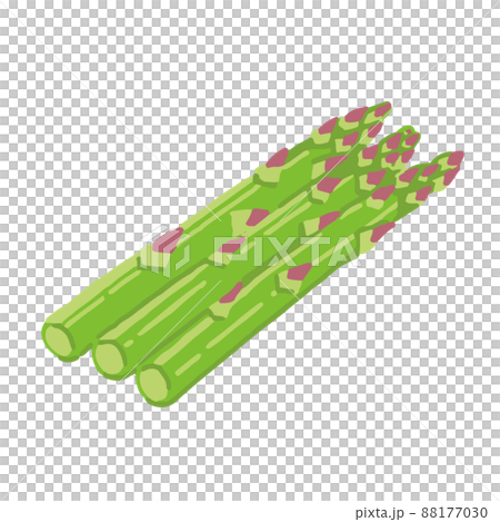 アスパラガスの手描きイラスト 88177030