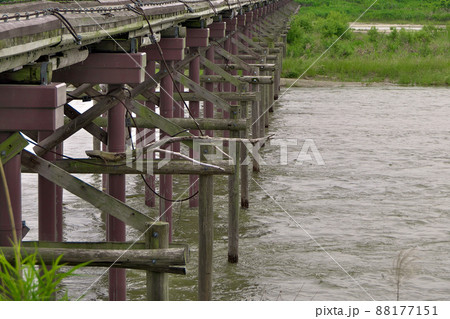 増水翌日の木津川「流れ橋」のワイヤーに流木が絡みつく 88177151