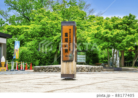 高尾山 高尾山頂 山頂標識(599.15m) と 山頂広場 高尾山 高尾山頂 山頂標識(599.15m) と 山頂広場 88177405