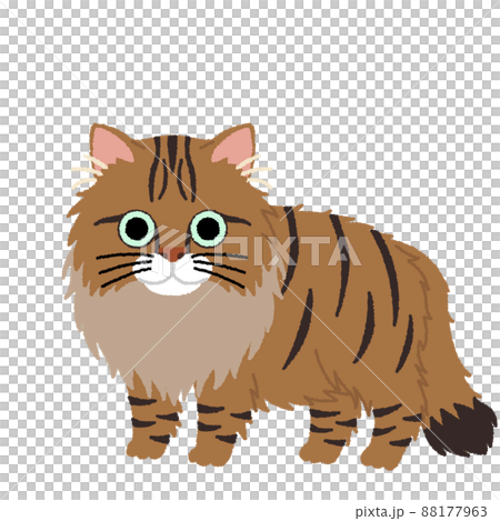 Siberian cat illustration 88177963