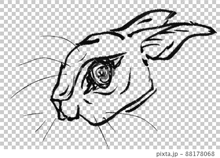 New Year's card Rabbit sumi-e basic rabbit Reiwa 5th year 2023 Illustration Japanese style PNG New Year's card Rabbit sumi-e basic rabbit Reiwa 5th year 2023 Illustration Japanese style PNG 88178068