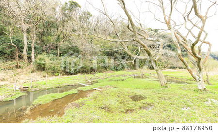小網代の森 小網代の森 88178950