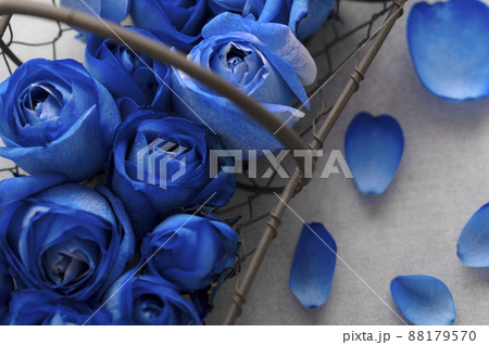 青いバラ   花びら 88179570