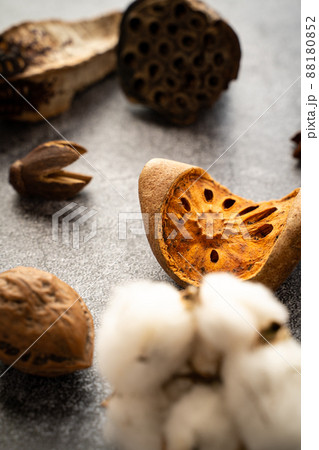 ドライフラワー 88180852