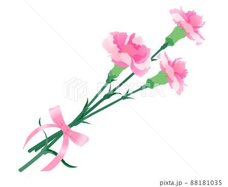 ピンク色のカーネーションの花束のイラストのイラスト素材