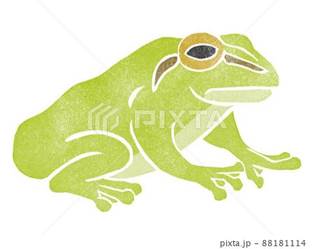 アマガエル　ハンコ　スタンプ 88181114