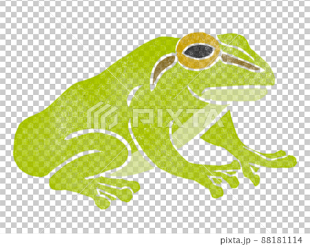 アマガエル　ハンコ　スタンプ 88181114