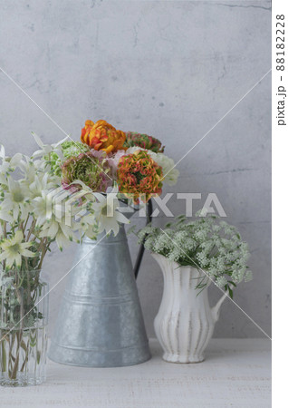 ラナンキュラス フランネルフラワー レースフラワー ラナンキュラス フランネルフラワー レースフラワー 88182228