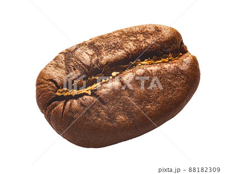 Coffee bean isolated on white background, shiny coffee bean 88182309