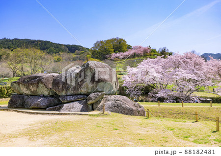 桜満開の石舞台古墳 88182481