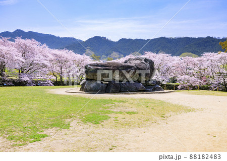 桜満開の石舞台古墳 88182483
