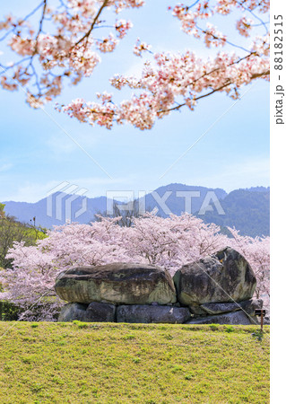 桜満開の石舞台古墳 桜満開の石舞台古墳 88182515